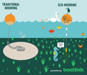 Studland Bay gains eco-moorings to protect seahorse habitat