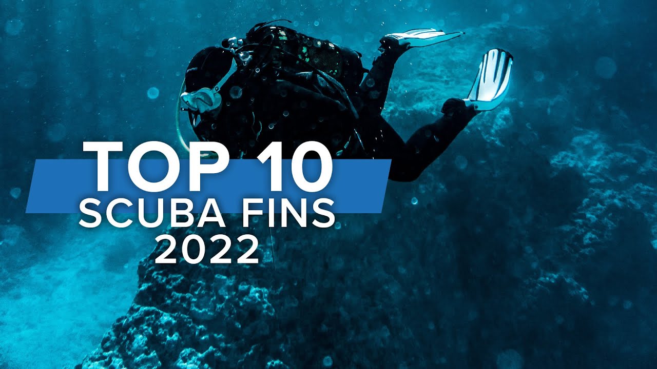 Top 10 Scuba Fins for 2022