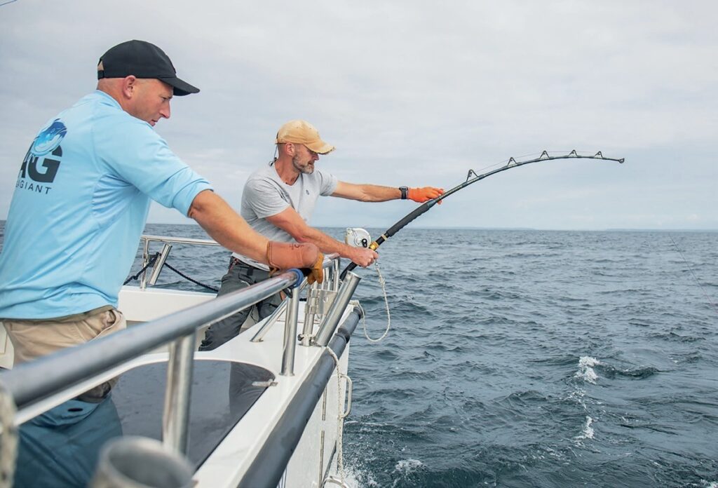 Fishing to tag blue fin tuna