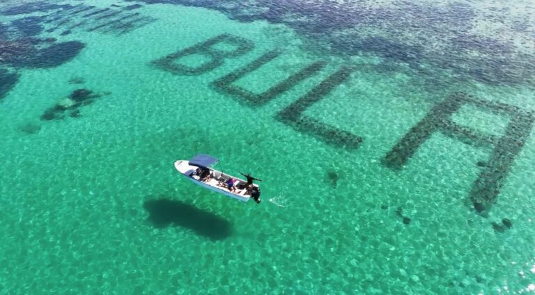 Record Breaking Bula Reef in Fiji
